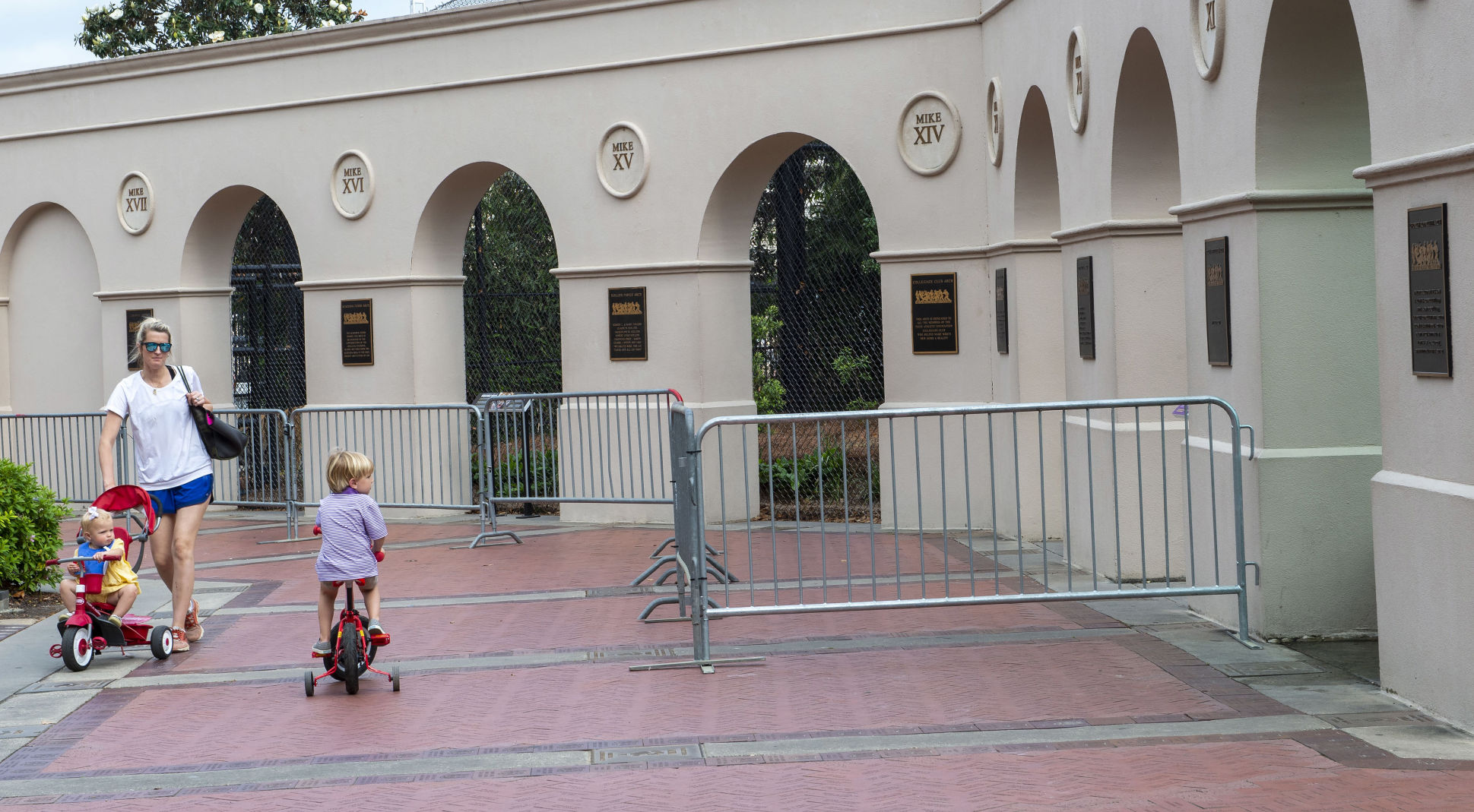 BR.tigerhabitatbarricade.adv. 0011 bf.JPG